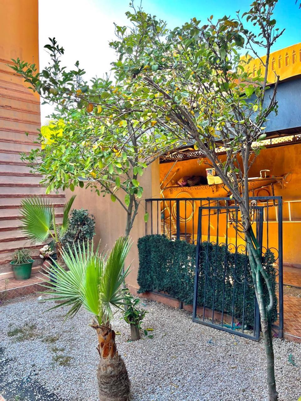 Villa Ibtissam มาร์ราเกช ภายนอก รูปภาพ